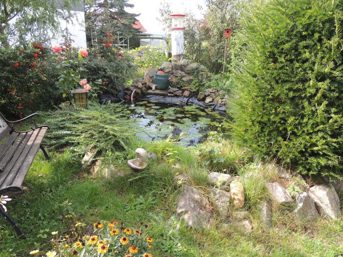 Ferienwohnung Am Hausberg In Radebeul Exteriör bild