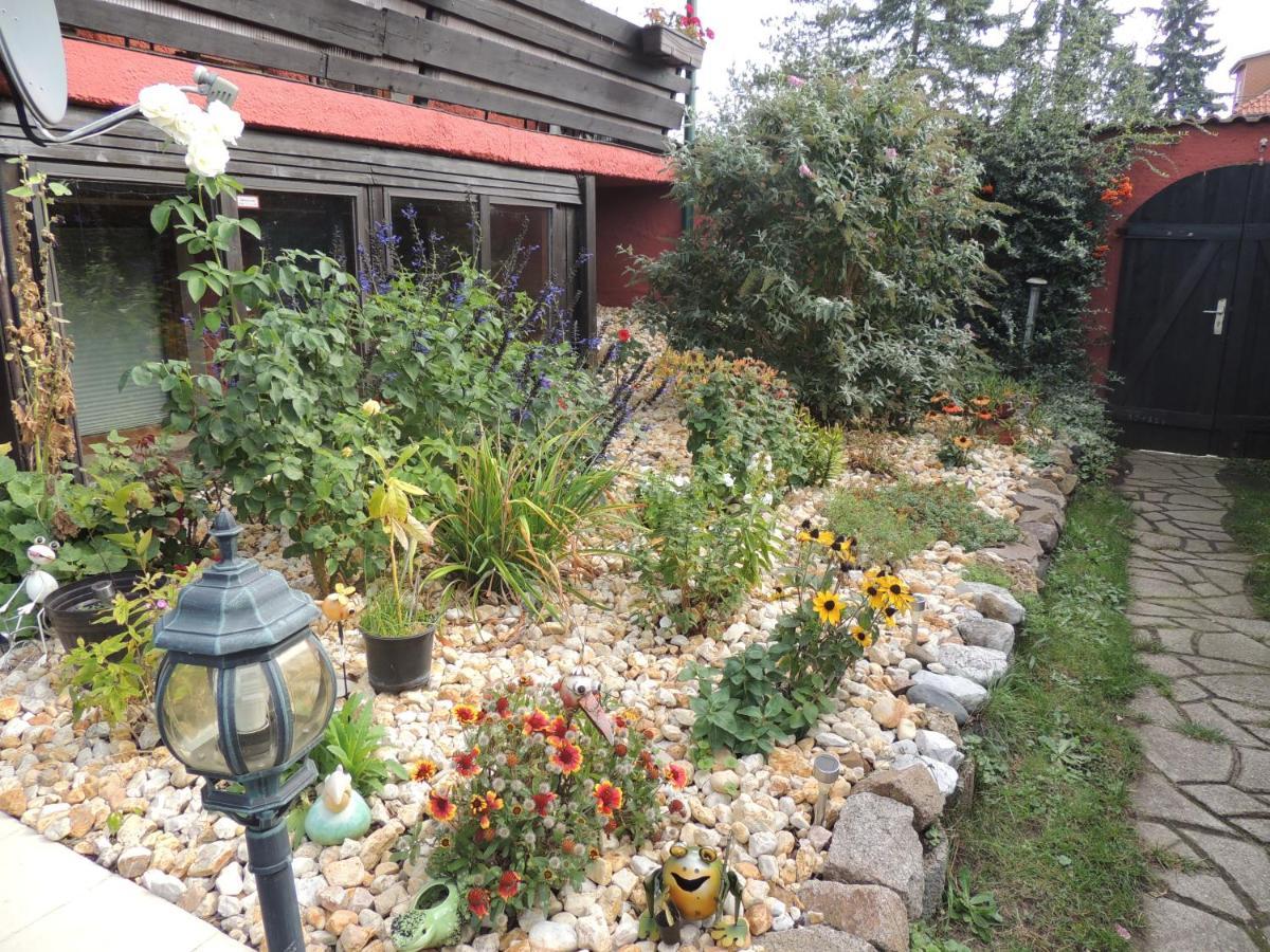 Ferienwohnung Am Hausberg In Radebeul Exteriör bild