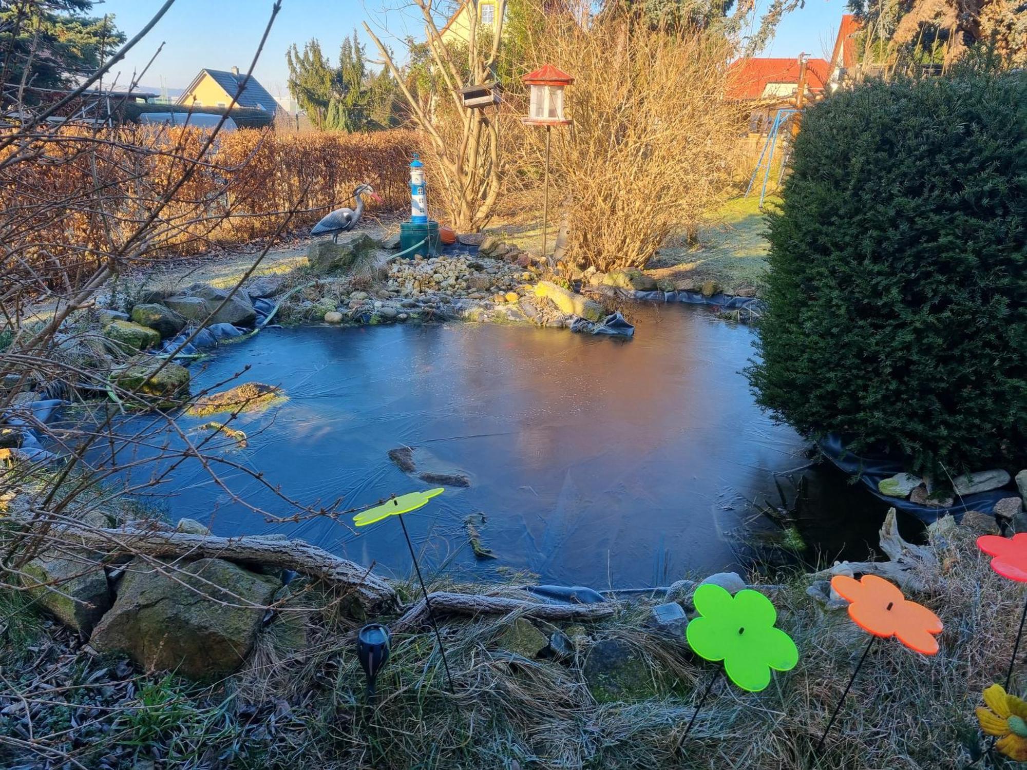 Ferienwohnung Am Hausberg In Radebeul Exteriör bild